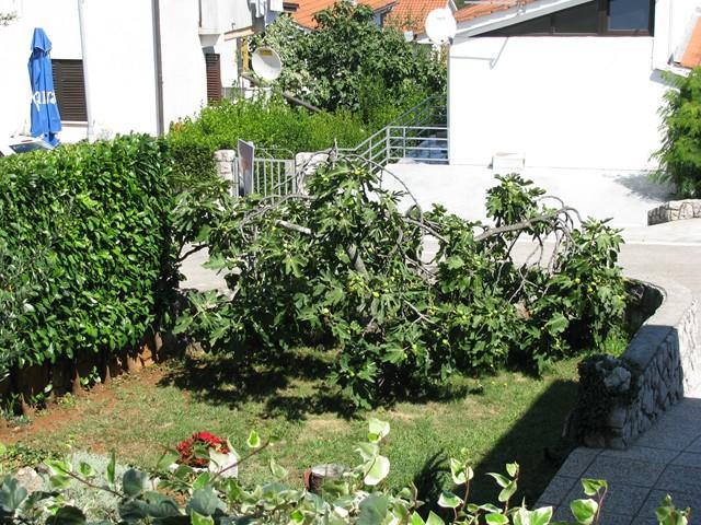Apartman "Ela" Njivice Exterior photo